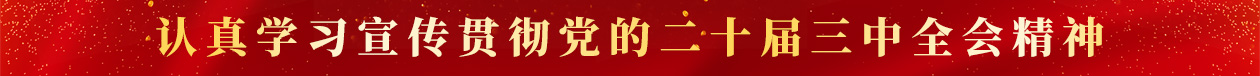 top1.jpg